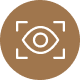 vision icon